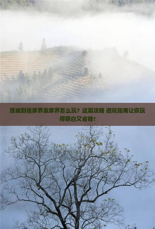 塔城到张家界袁家界旅行社