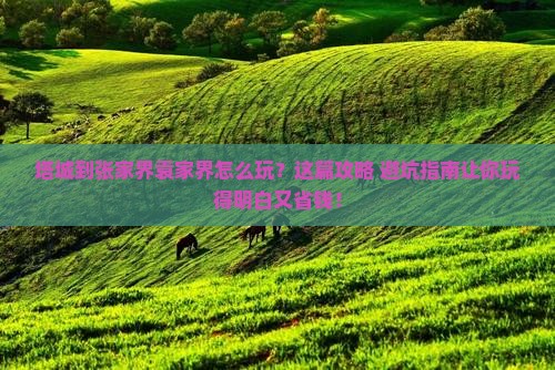 塔城到张家界袁家界旅行社