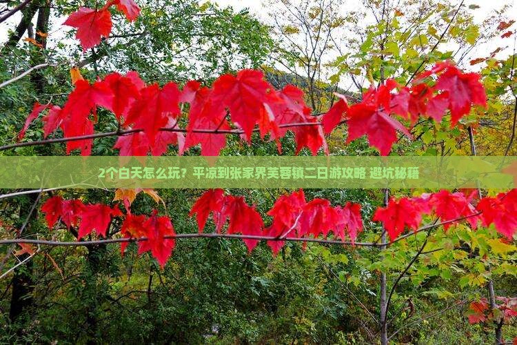 平凉到张家界芙蓉镇二日游