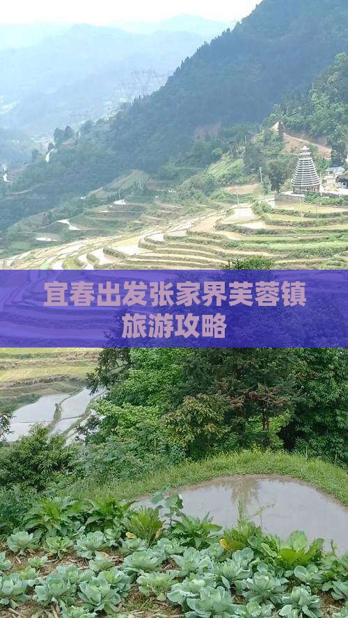 宜春去张家界芙蓉镇攻略