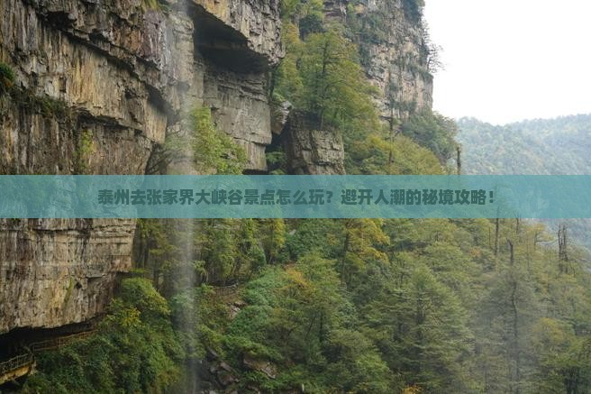 泰州去张家界大峡谷景点