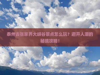 泰州去张家界大峡谷景点
