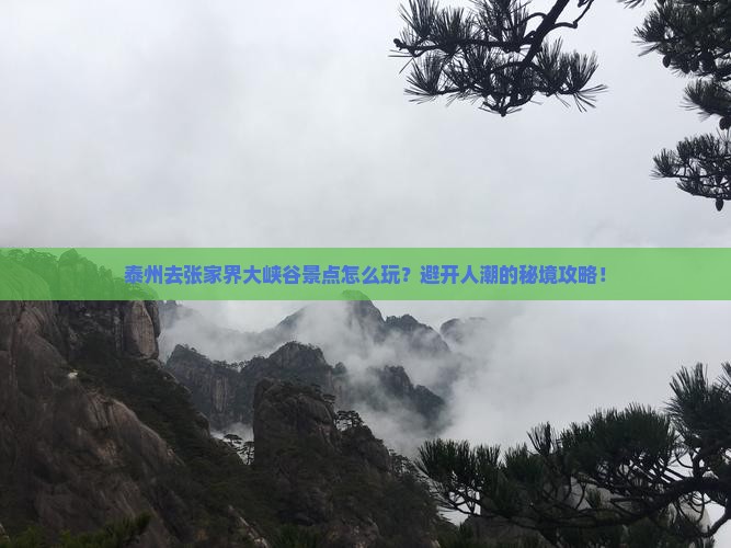 泰州去张家界大峡谷景点