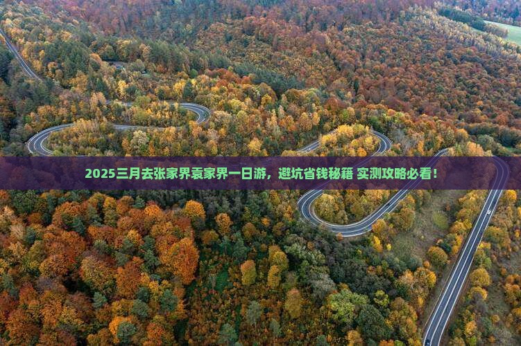 三月去张家界袁家界一日