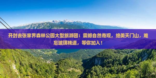 开封去张家界森林公园大型旅游团
