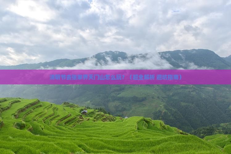 清明节去张家界天门山哪里玩