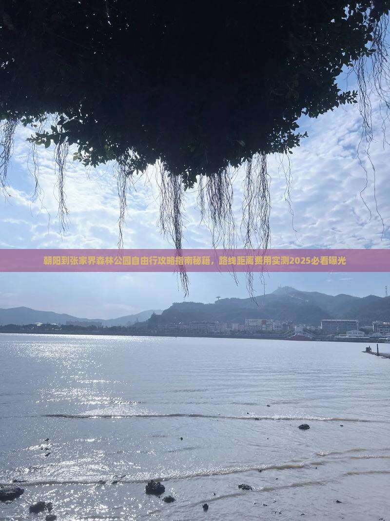 朝阳到张家界森林公园自由行