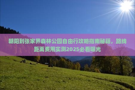 朝阳到张家界森林公园自由行