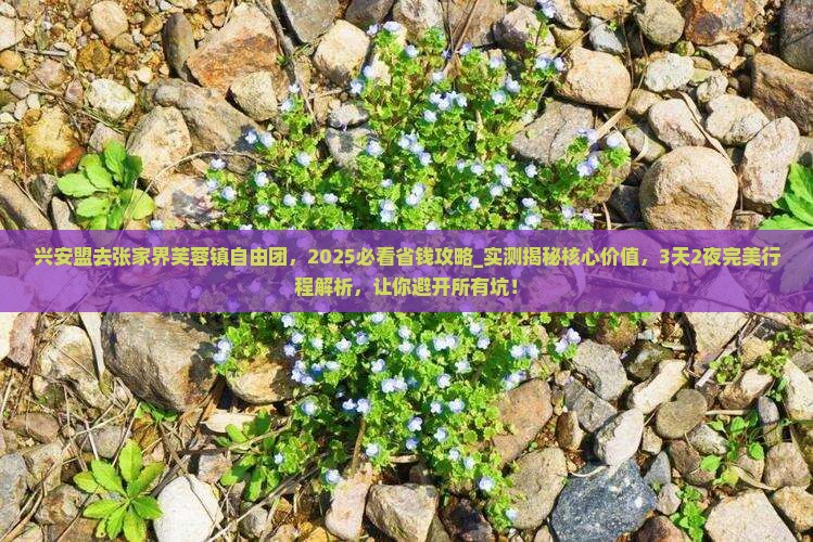 兴安盟去张家界芙蓉镇自由团