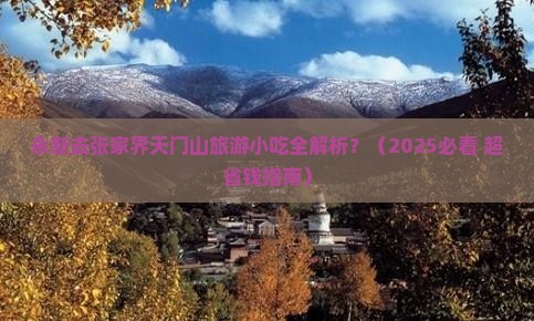 永新去张家界天门山旅游小吃