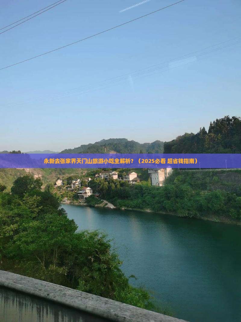 永新去张家界天门山旅游小吃