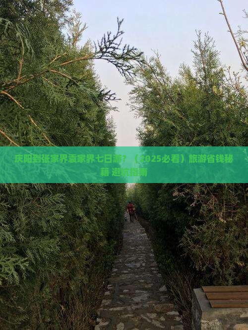 庆阳到张家界袁家界七日游