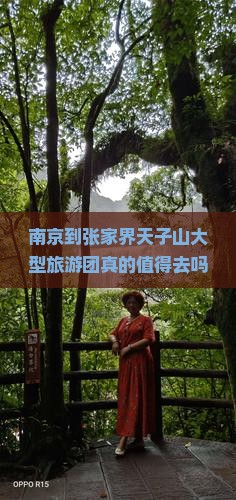 南京到张家界天子山大型旅游团