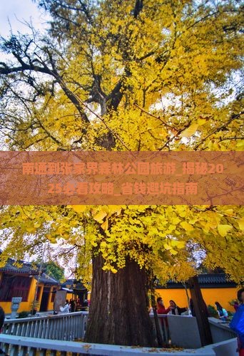 南通到张家界森林公园旅游