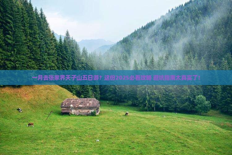 一月去张家界天子山五日游