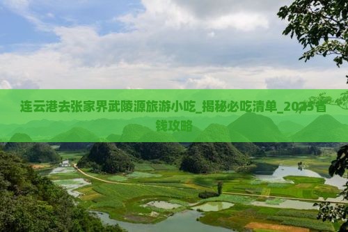 连云港去张家界武陵源旅游小吃