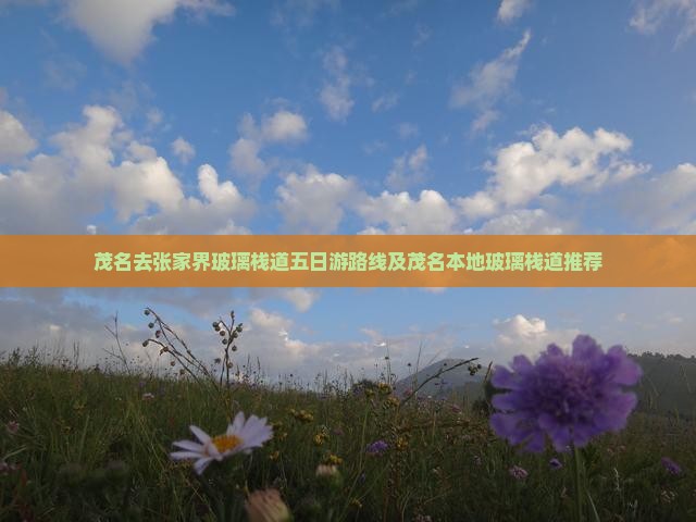 茂名去张家界玻璃栈道五日游
