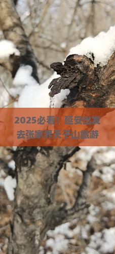 延安去张家界天子山大型旅游团