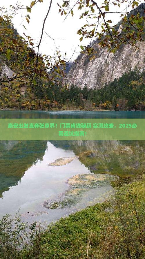 泰安去张家界门票
