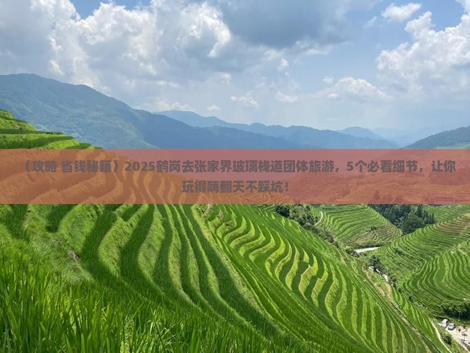 鹤岗去张家界玻璃栈道团体旅游