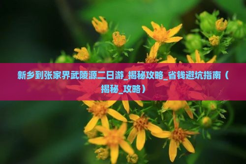 新乡到张家界武陵源二日游 新乡到张家界武陵源二日游