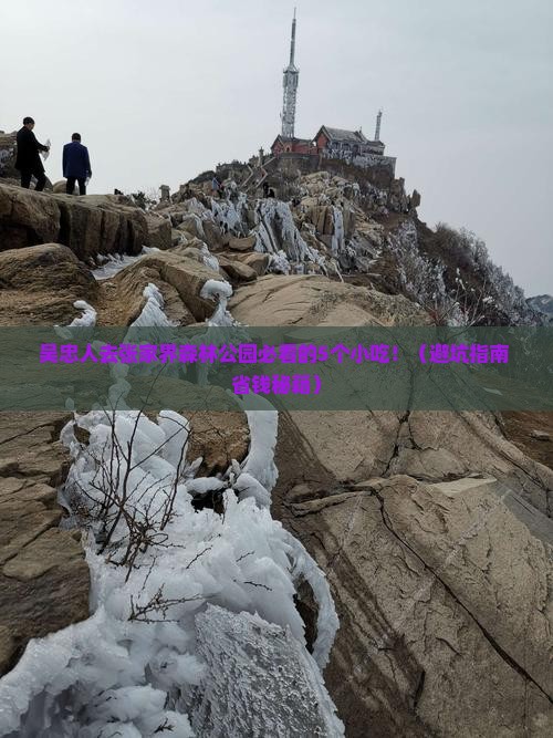 吴忠去张家界森林公园旅游小吃