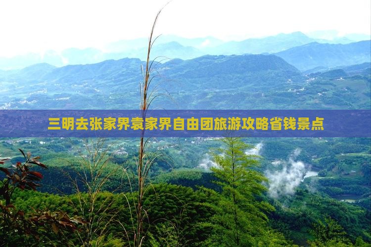 三明去张家界袁家界自由团