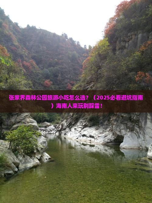 海南省直辖到张家界森林公园旅游小吃