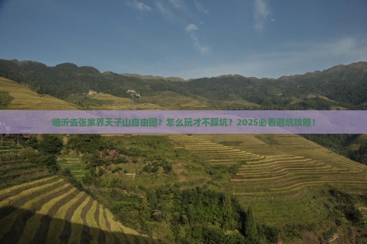 临沂去张家界天子山自由团