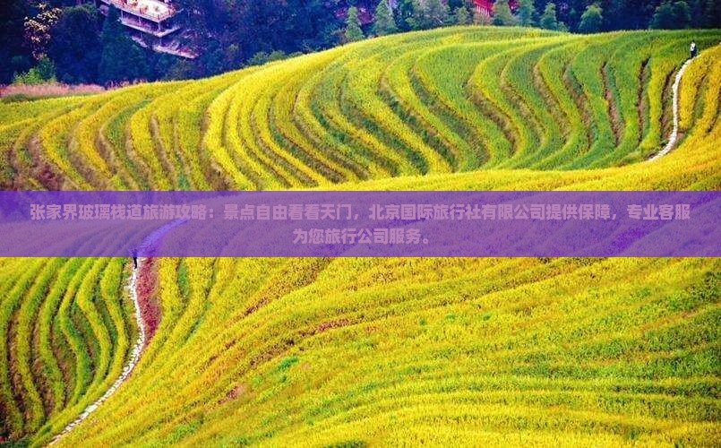 秋天到张家界玻璃栈道自由团