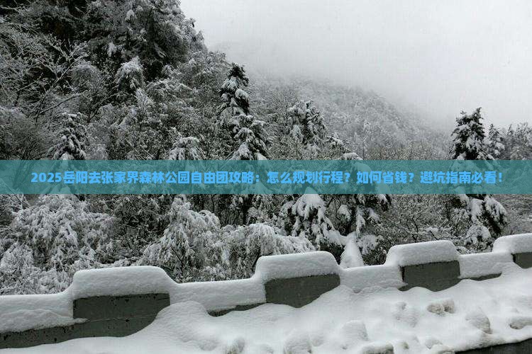 岳阳去张家界森林公园自由团