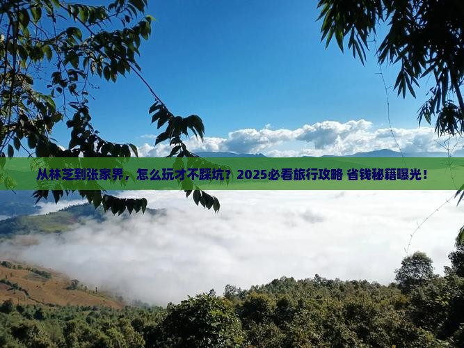林芝去张家界旅游