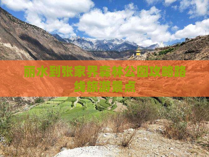 丽水到张家界森林公园个人游