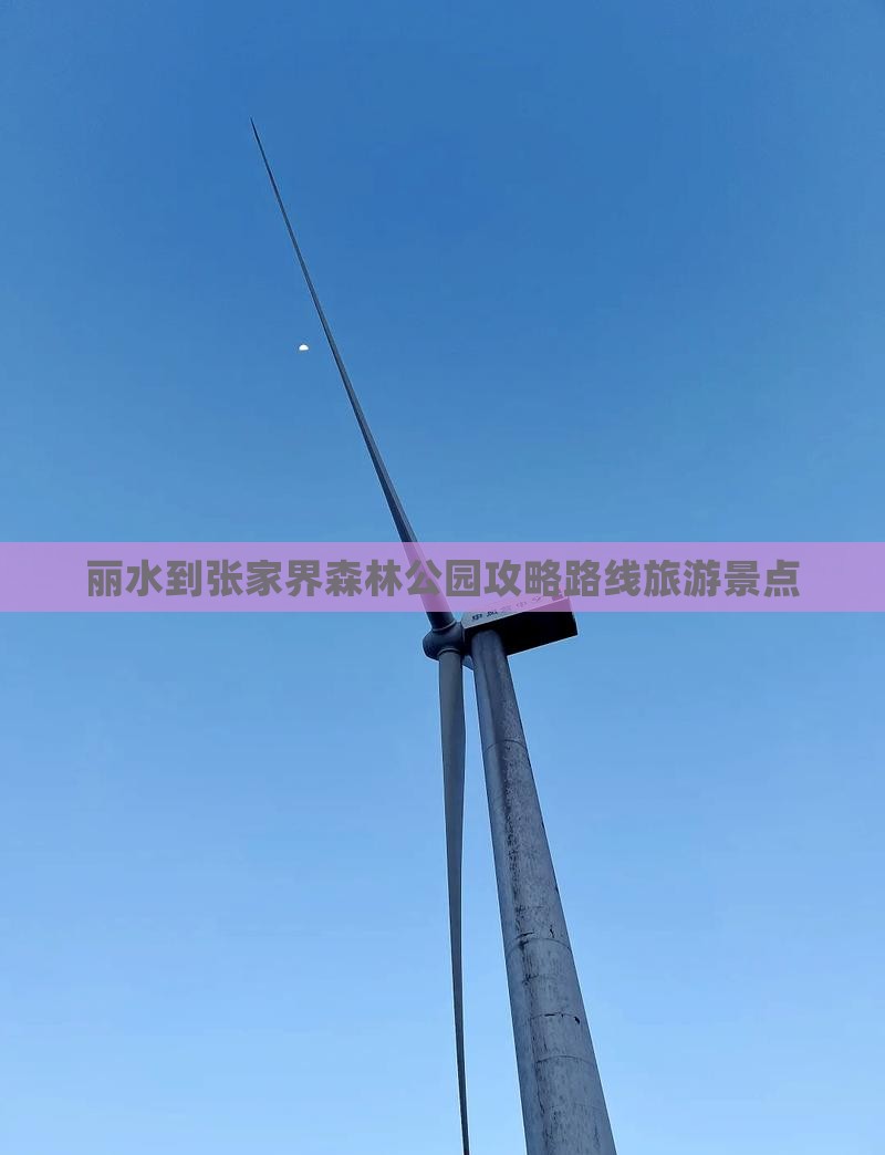 丽水到张家界森林公园个人游