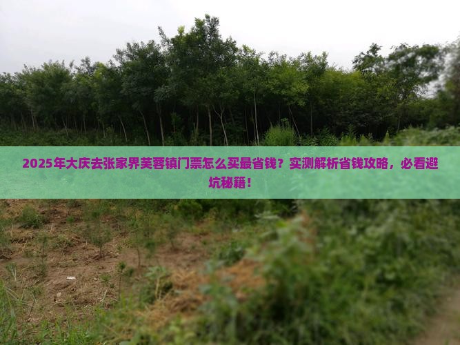 大庆去张家界芙蓉镇门票
