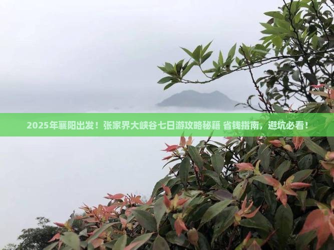 襄阳去张家界大峡谷七日游