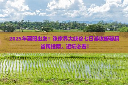 襄阳去张家界大峡谷七日游
