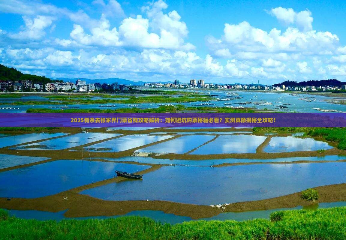 新余去张家界门票