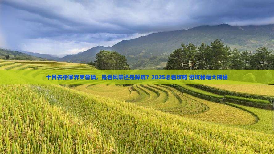 十月到张家界芙蓉镇攻略