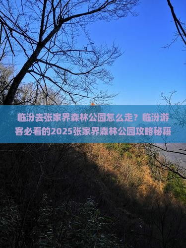 临汾去张家界森林公园攻略