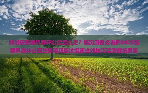 临汾去张家界森林公园攻略