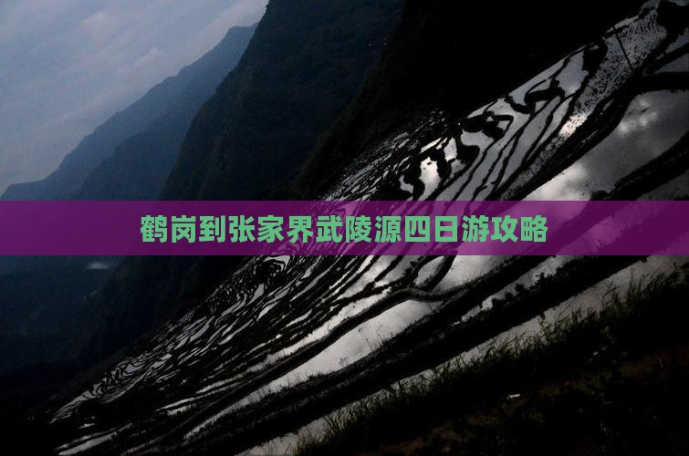 鹤岗到张家界武陵源四日游
