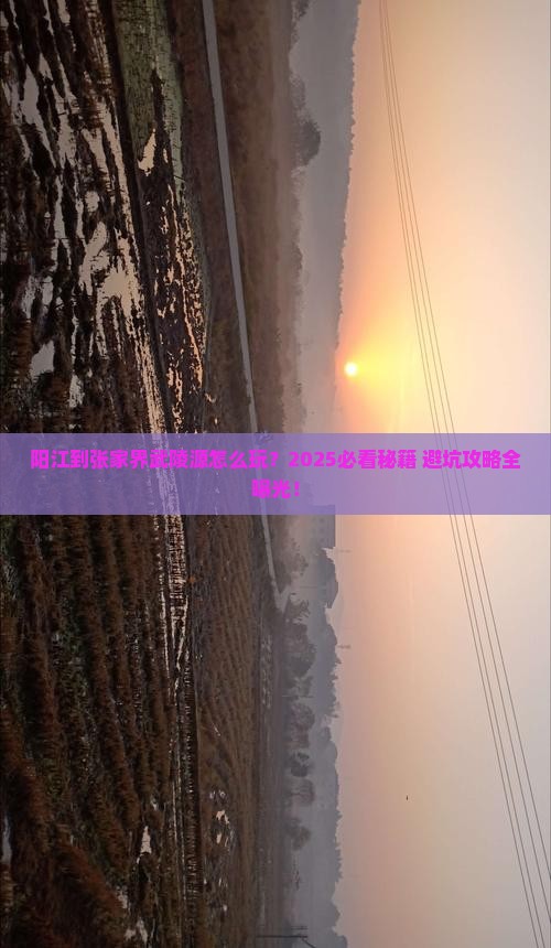 阳江到张家界武陵源哪里玩