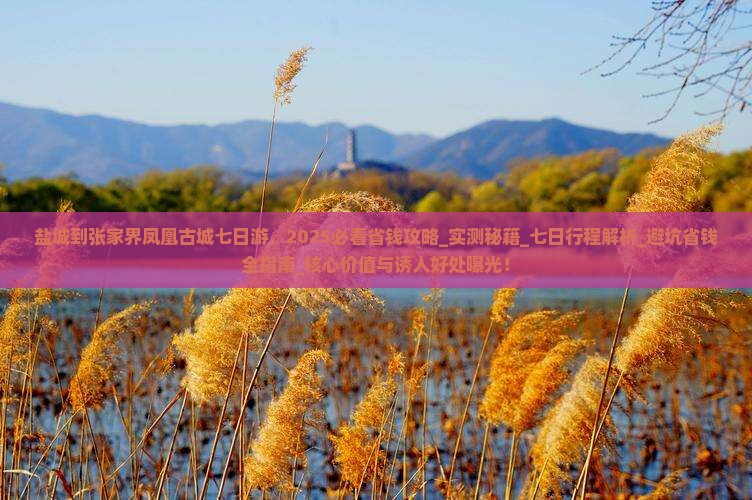 盐城到张家界凤凰古城七日游