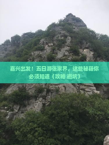 嘉兴到张家界五日游