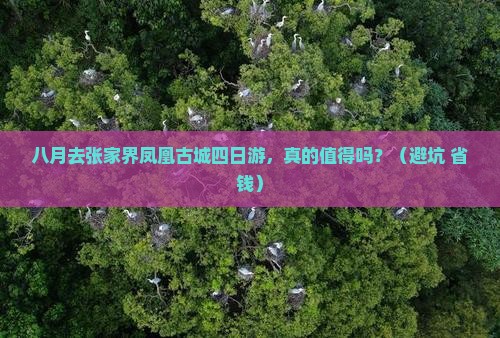 八月到张家界凤凰古城四日游