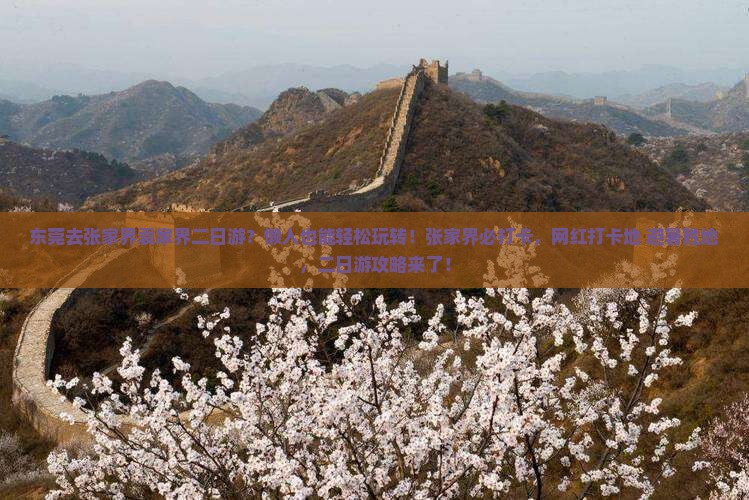 东莞去张家界袁家界二日游