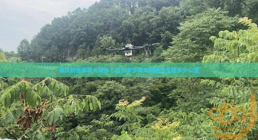 肇庆到张家界大峡谷七日游