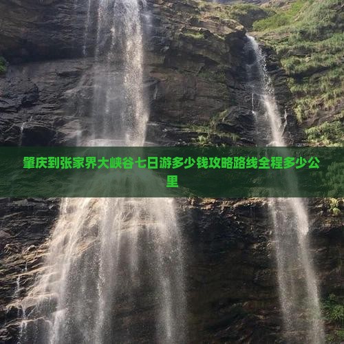 肇庆到张家界大峡谷七日游