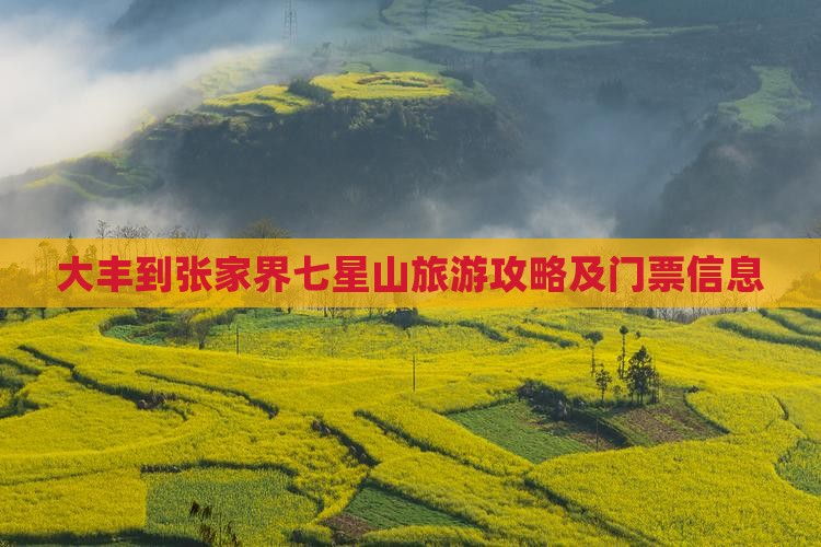大丰到张家界七星山门票 大丰到张家界七星山门票